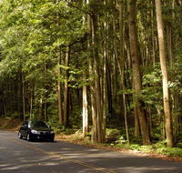 Greater Blue Mountains drive - Surfers Gold Coast