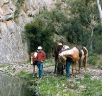 Yarramba Horse Riding - Surfers Gold Coast