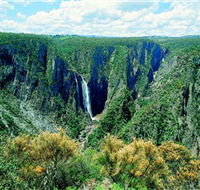 Wollomombi Falls - Surfers Gold Coast