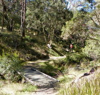 Wollomombi walking track - Surfers Gold Coast