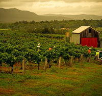 Around Hermitage Wine and Food Trail Hunter Valley - Surfers Gold Coast