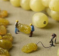 Hunter Valley Wine School - Surfers Gold Coast