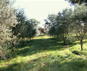 Langdale Farm - Surfers Gold Coast 0