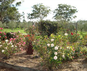 Langdale Farm - Surfers Gold Coast 6