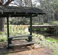 Barrington Tops State Forest - Surfers Gold Coast