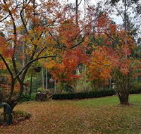 Bellbird Cottage - Surfers Gold Coast