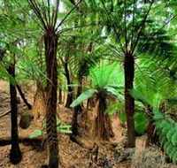 Pegarah Private Nature Reserve  Parenna Place - Surfers Gold Coast