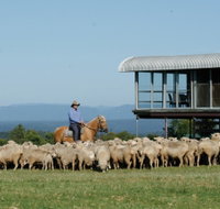 Tobruk Sydney - Surfers Gold Coast