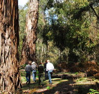 Tallaganda National Park - Surfers Gold Coast
