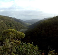 Nattai Gorge Lookout - Surfers Gold Coast