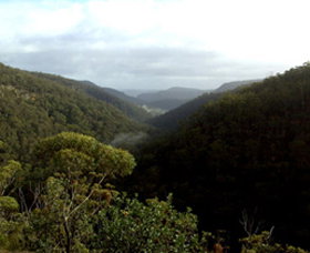 Nattai Gorge Lookout - Surfers Gold Coast 0