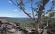 Nattai Gorge Lookout - thumb 1