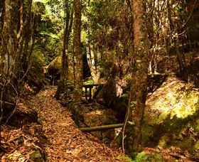 Cave Creek Walking Track - Surfers Gold Coast 2