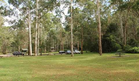 Mill Creek Picnic Area - Surfers Gold Coast 0