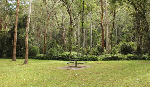 Mill Creek Picnic Area - Surfers Gold Coast 1