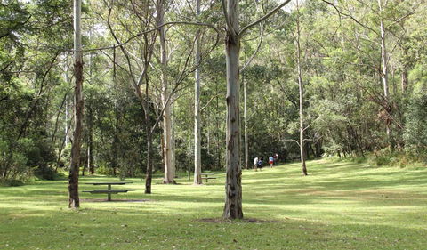 Mill Creek Picnic Area - Surfers Gold Coast 3
