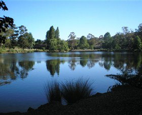 Lake Alexandra Reserve - Surfers Gold Coast 3