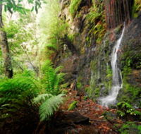 Fairy Bower Falls - Surfers Gold Coast