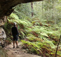 Dharug National Park - Surfers Gold Coast