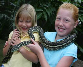 Featherdale Wildlife Park - Surfers Gold Coast 2