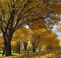Centennial Park at Cooma - Surfers Gold Coast