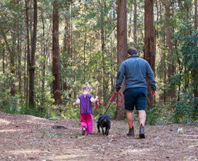 Kulnura NSW Surfers Gold Coast