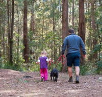 Olney State Forest - Watagan Mountains - Surfers Gold Coast