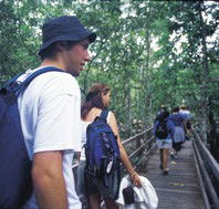 Bellthorpe National Park - Surfers Gold Coast