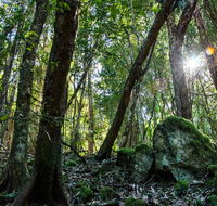 Copeland Tops State Conservation Area - Surfers Gold Coast
