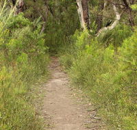 Three Views walking track - Surfers Gold Coast
