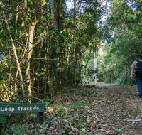 Basin Loop track - Surfers Gold Coast