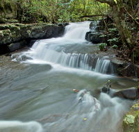 Jerusalem Creek trail - Surfers Gold Coast