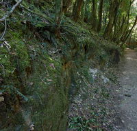 Hidden Treasure track - Surfers Gold Coast