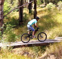 The Steps Mountain Bike Park - Surfers Gold Coast