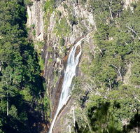 Carrai National Park - Surfers Gold Coast