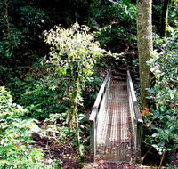 Richmond Range National Park - Surfers Gold Coast