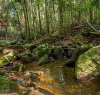 Palm Grove Nature Reserve - Surfers Gold Coast