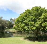 Hervey Bay Botanic Gardens - Surfers Gold Coast