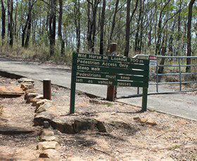 Wild Horse Mountain Lookout - Surfers Gold Coast 0