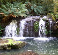 Barrington Tops National Park Walks - Surfers Gold Coast