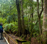 Monga National Park - Surfers Gold Coast