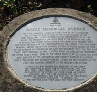 Anzac Memorial Avenue Redcliffe - Surfers Gold Coast