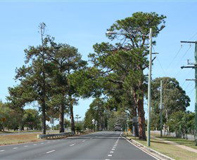 Anzac Memorial Avenue, Redcliffe - Surfers Gold Coast 2