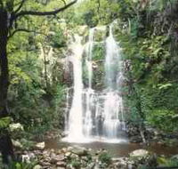 Budderoo National Park - The Falls Walk - Surfers Gold Coast