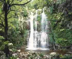 Budderoo National Park - The Falls Walk - Surfers Gold Coast 0