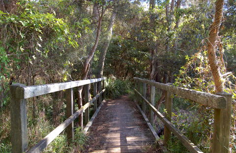 Lake Macquarie State Conservation Area - Surfers Gold Coast 2