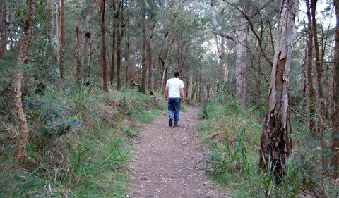 Lake Macquarie State Conservation Area - Surfers Gold Coast 3