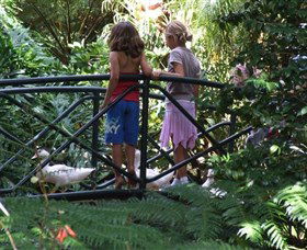 EG Waterhouse National Camellia Garden - Surfers Gold Coast 0