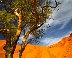 The Artery Aboriginal Art - Surfers Gold Coast 2