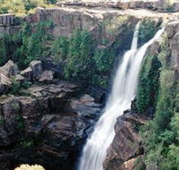 Minnamurra Rainforest Centre Budderoo National Park - Surfers Gold Coast
